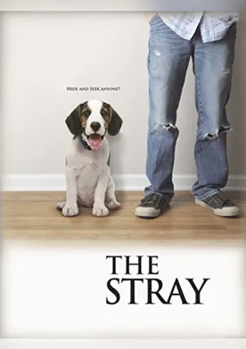 Poster The Stray