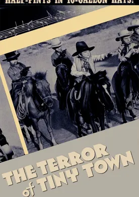 Poster de The Terror of Tiny Town