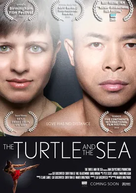 Poster The Turtle and the Sea