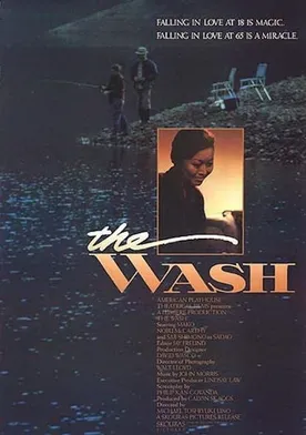 Poster de The Wash