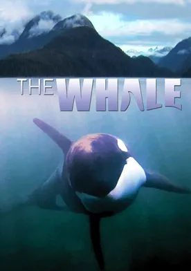 Poster The Whale