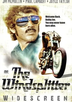 Poster The Windsplitter