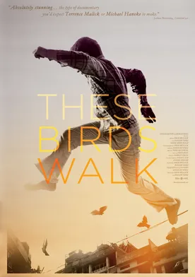 Poster These Birds Walk