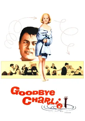 Poster de Un amor de otro mundo