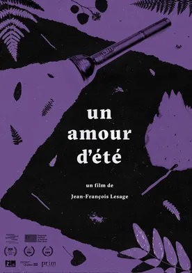 Poster Un amour d'été