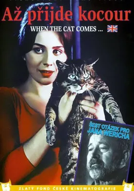 Poster de Un día, un gato