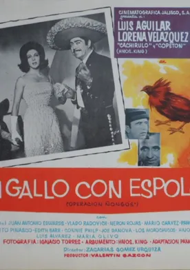 Poster Un gallo con espolones