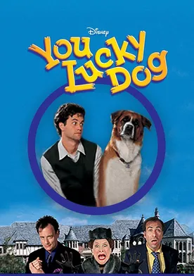 Poster de Un perro con suerte