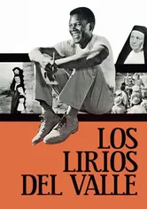 Poster de Una voz en las sombras