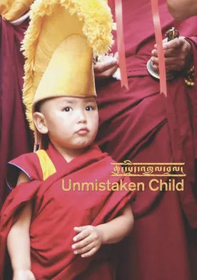 Poster Unmistaken Child