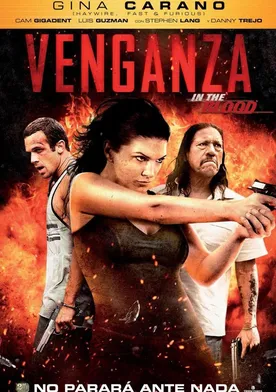 Poster Venganza (In the Blood)