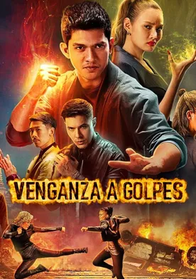 Poster Venganza a golpes