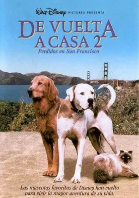 Poster de Volviendo a casa 2