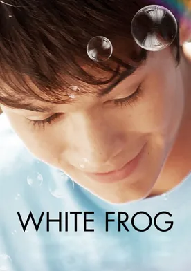 Poster White Frog