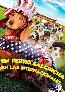 Poster Wiener Dog Internationals