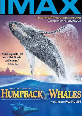 Poster de Wild Window: Whales