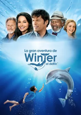 Poster Winter - El delfín