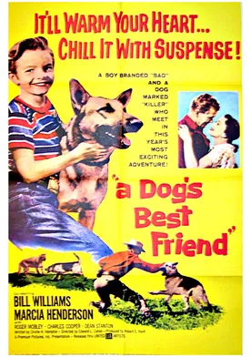 Poster A Dog's Best Friend