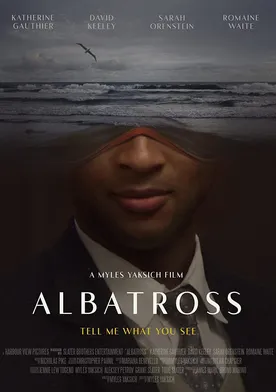 Poster Albatross