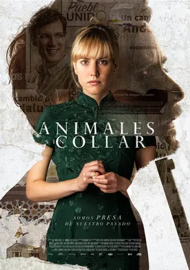 Poster Animales sin collar