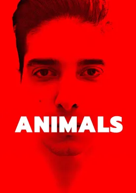 Poster Animals