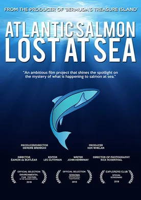 Poster Atlantic Salmon: Lost at Sea