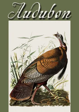 Poster Audubon