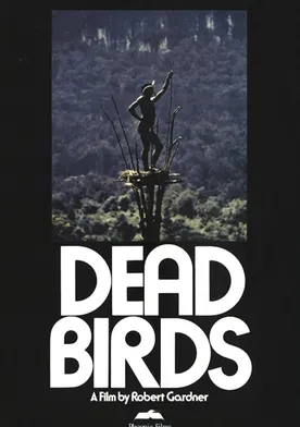 Poster Aves muertas