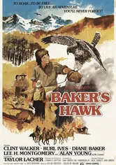 Poster Baker's Hawk