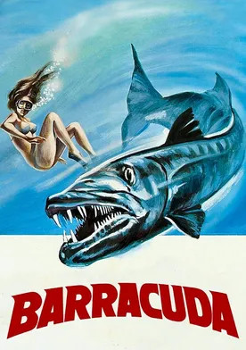 Poster Barracuda