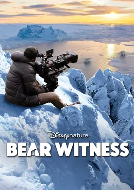 Poster Bear Witness