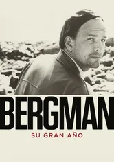 Poster Bergman - Ett år, ett liv