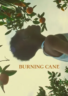 Poster Burning Cane