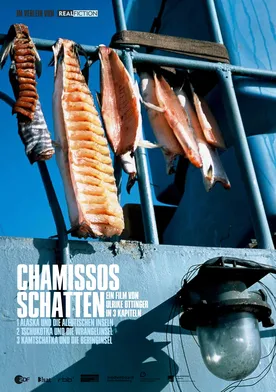 Poster Chamissos Schatten