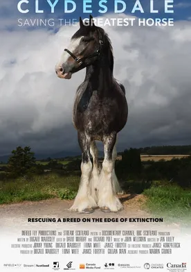 Poster Clydesdale: Saving the Greatest Horse