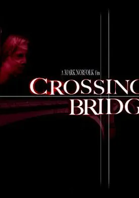 Poster Crossing Bridges