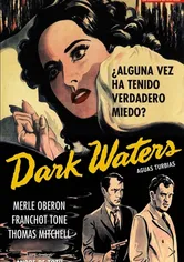 Poster Dark Waters