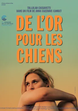 Poster De l'or pour les chiens