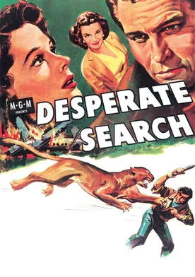 Poster Desperate Search