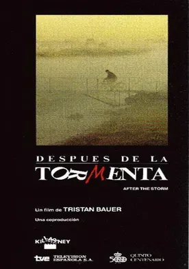 Poster Después de la tormenta