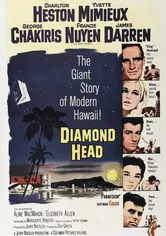 Poster Diamond Head