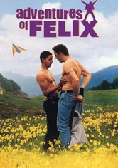 Poster Drôle de Félix