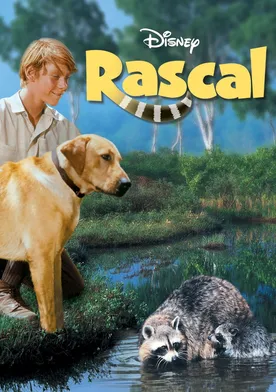 Poster El pícaro Rascal