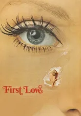 Poster El primer amor