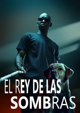 Poster El rey de las sombras