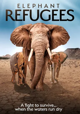 Poster Elephant Refugees