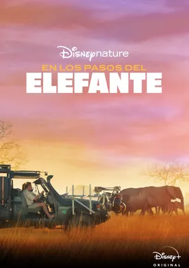 Poster En los pasos del elefante