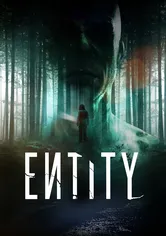 Poster Entity