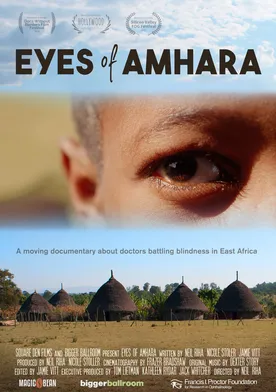 Poster Eyes of Amhara