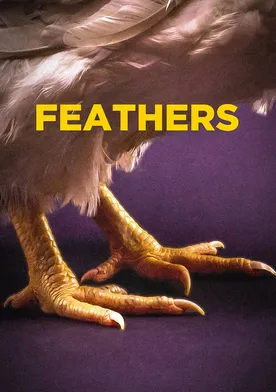 Poster Feathers